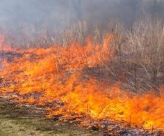 Rio Preto intensificará fiscalização para coibir queimadas