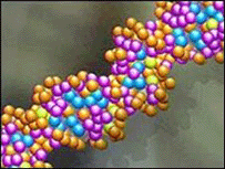 CIENTISTAS DIZEM TER IDENTIFICADO GENE LIGADO A TRANSEXUALISMO