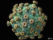 MÉDICOS ACREDITAM TER CURADO AIDS COM TRANSPLANTE DE MEDULA