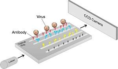 BIOCHIP DETECTA INFECÇÃO DE VÍRUS EM CINCO MINUTOS